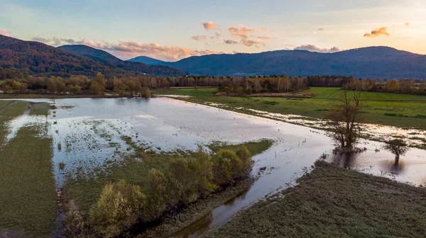 Aerial view of flooded fields at sunset. — Stock Photo, Image
