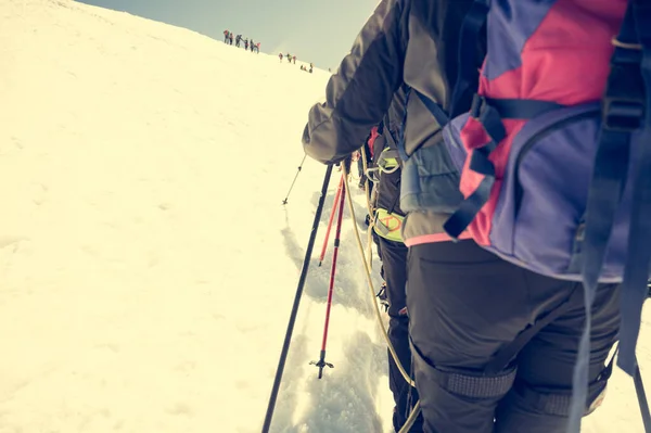 Rope team member point of view with mountaineers walking on snow and ice in sunny weather.