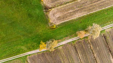 Yalnız ağaç gölgesiyle hasat sonrası tarla manzarasını indirin..