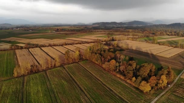 Imagens aéreas de voo acima dos campos de outono de resíduos. — Vídeo de Stock