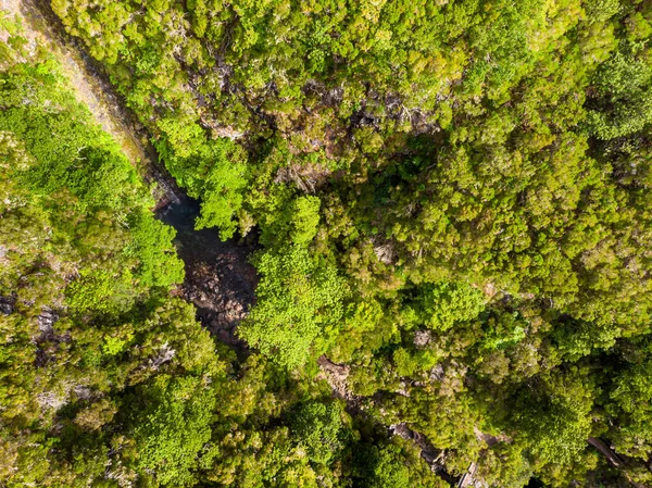 Luftaufnahme des in einen Teich fallenden Waldwasserfalls. — Stockfoto