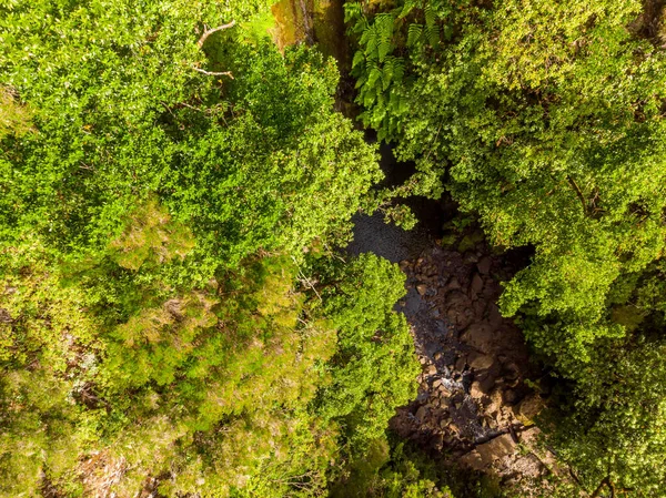 Flygfoto ner utsikt över skogen vattenfall faller i dammen. — Stockfoto