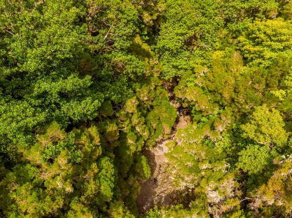 Luftaufnahme des in einen Teich fallenden Waldwasserfalls. — Stockfoto