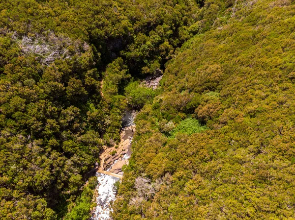 Droppe ner utsikt över floden runing genom skogen. — Stockfoto