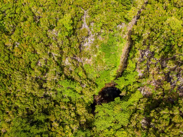 Flygfoto ner utsikt över skogen vattenfall faller i dammen. — Stockfoto