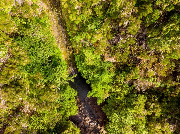 Vista aérea hacia abajo de la cascada del bosque que cae en el estanque. —  Fotos de Stock