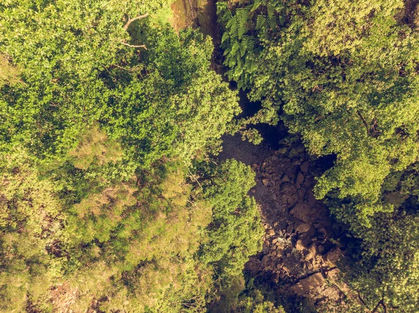 从空中俯瞰掉进池塘的森林瀑布. — 图库照片