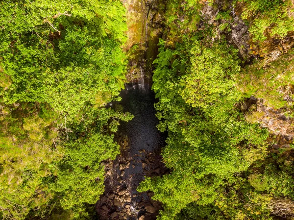 Flygfoto ner utsikt över skogen vattenfall faller i dammen. — Stockfoto