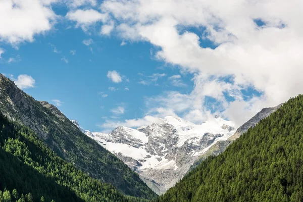 Valle della montagna — Foto Stock