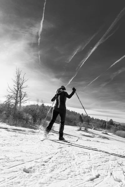 クロスカントリー スキーヤー — ストック写真