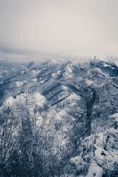 Λόφους που καλύπτονται με χιόνι. — Φωτογραφία Αρχείου