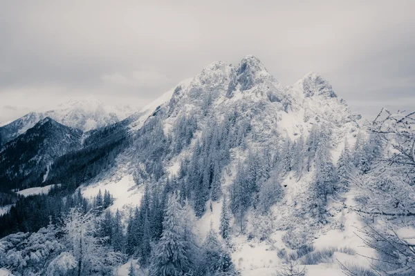 Berggipfel mit Schnee bedeckt — Stockfoto