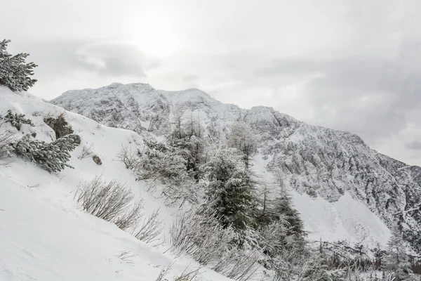 Berghelling bedekt met sneeuw — Stockfoto