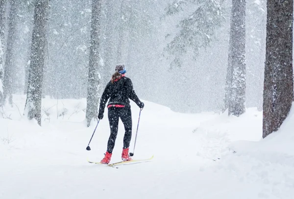 Ski de fond par mauvais temps . — Photo