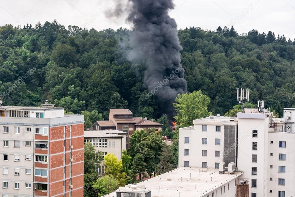 Forest fire near residential buildings.