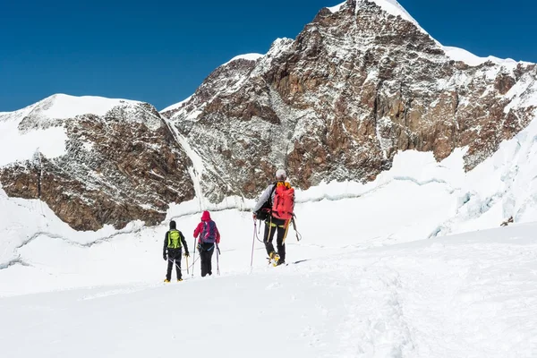 Группа альпинистов, идущих по леднику . — стоковое фото
