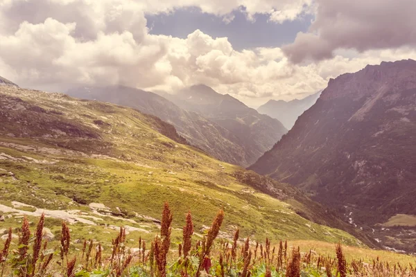 Alpejskie doliny. — Zdjęcie stockowe