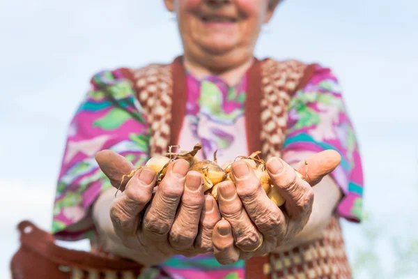 Felice donna anziana orgogliosamente tenendo cipolle bambino . — Foto Stock