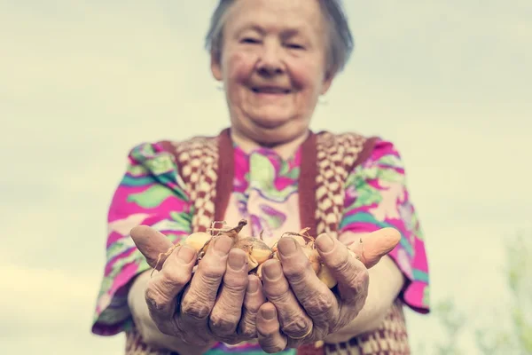 Felice donna anziana orgogliosamente tenendo cipolle bambino . — Foto Stock