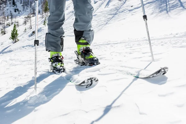 Nahaufnahme der Skiausrüstung. — Stockfoto