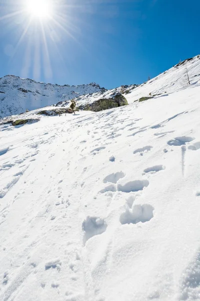 Trilha de neve ascendendo uma encosta . — Fotografia de Stock