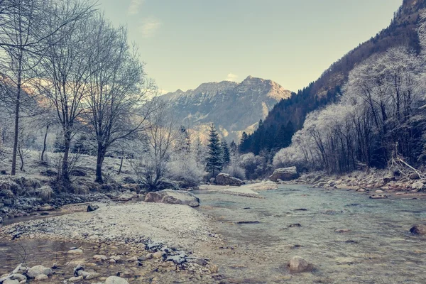 Gebirgsfluss im Winter. — Stockfoto