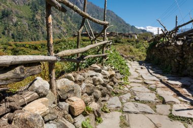 Taş yol ahşap bir çit boyunca.