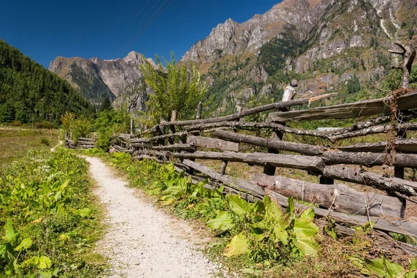 Cesta pasing dřevěný plot. — Stock fotografie