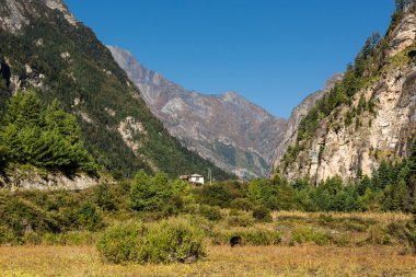 Himalaya dağ Vadisi.