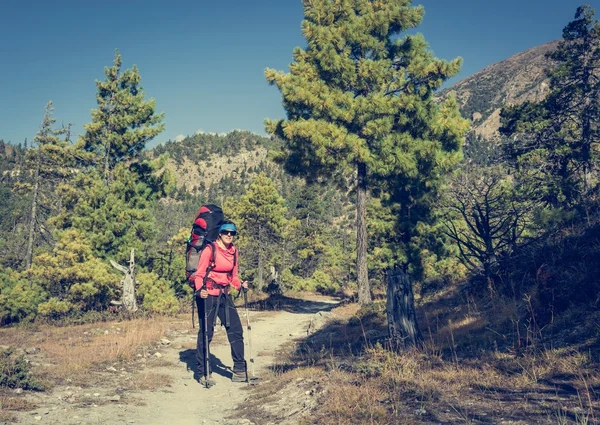 Yount mulher trekker em seu caminho através da floresta de montanha . — Fotografia de Stock
