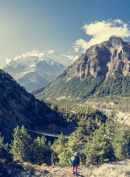 Vrouwelijke trekker genieten van een bergpanorama. — Stockfoto