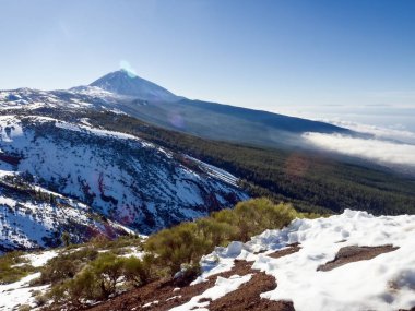 İspanya 'nın Teneriffa' daki en yüksek dağı olan thel Teide 'nin kışın ve akşam saatlerine yakın kar manzarası. Daha önce yumuşak, mavi bir gökyüzü üzerinde volkanik kayalar ve sulu bitkiler ve volkanik kumdan yapılmış geniş bir kum yolu ve tipik bir çam ormanı..