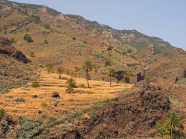 Yazın sonlarında La Gomera kanarya adasının dağlarındaki tipik manzara şekilleri. Kurumuş sarı çimenler ve birkaç palmiye ağacı ve dağ yamaçlarında sulu sularla kaplı..