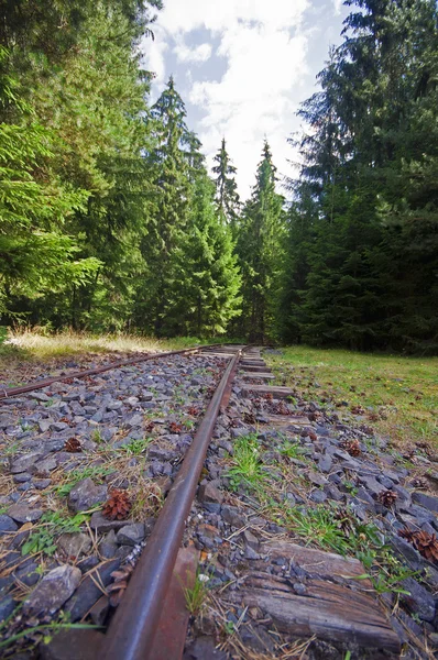 Ferrocarriles antiguos de vía estrecha — Foto de Stock