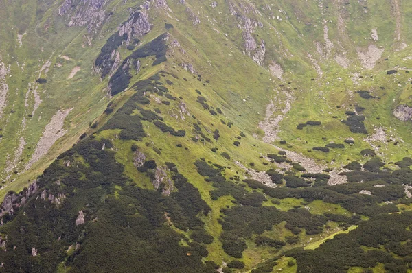 Alto detalhe montanhas de cima — Fotografia de Stock