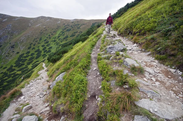 Mujer joven bajando por sendero de montaña —  Fotos de Stock