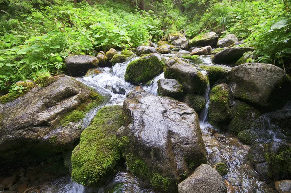 Dere taşları ile — Stok fotoğraf