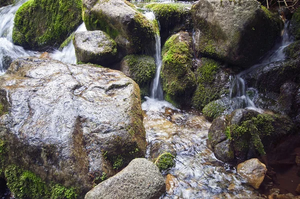 Rocas en el arroyo — Foto de Stock