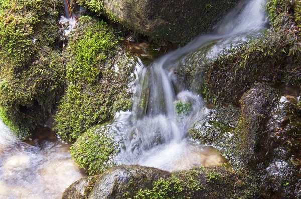 Mojado musgoso rocas detalle — Foto de Stock