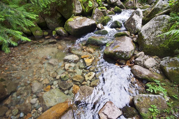 Agua de arroyo con rocas — Foto de Stock