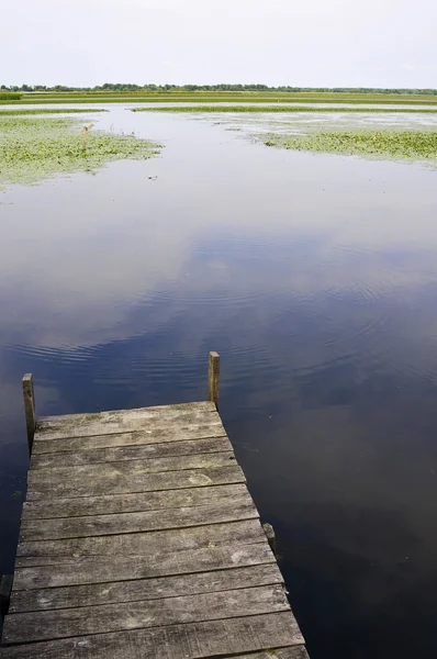 Pokojné mola na břehu jezera — Stock fotografie