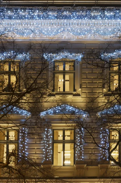 Building facade with light decoration at night with tree bough