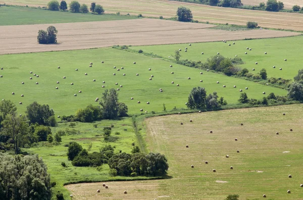 Paisaje aéreo con pequeñas balas de paja — Foto de Stock