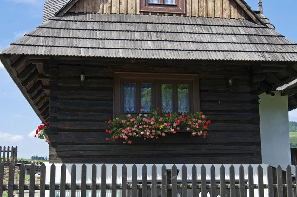 Small vivid flowers in window — Stock Photo, Image