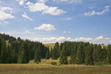 Mavi gökyüzü bulutlar dağ orman manzarası üzerinde