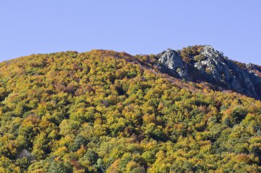 Montseny doğal park