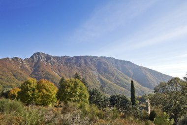 Montseny doğal park