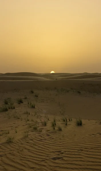 Puesta de sol en Dubai —  Fotos de Stock