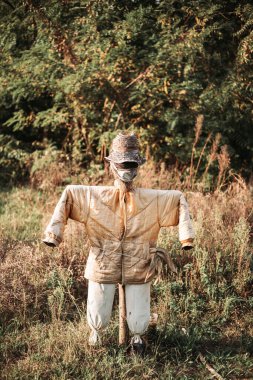 Mısır tarlasının önündeki bostan korkuluğuna yakın çekim..