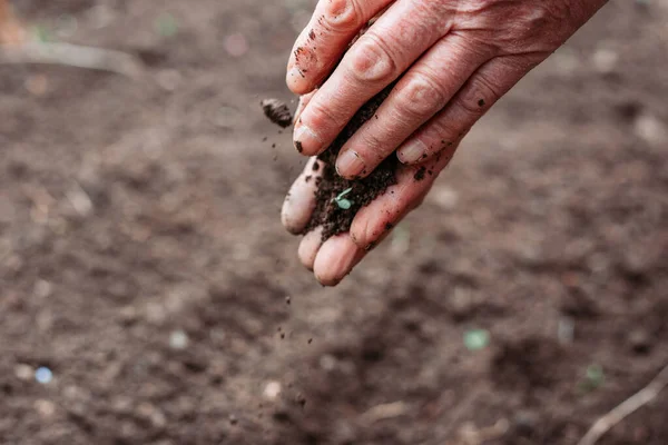 Toprağı Tutan Dişi Çiftçi Elleri Çevre Koruma Kavramı — Stok fotoğraf